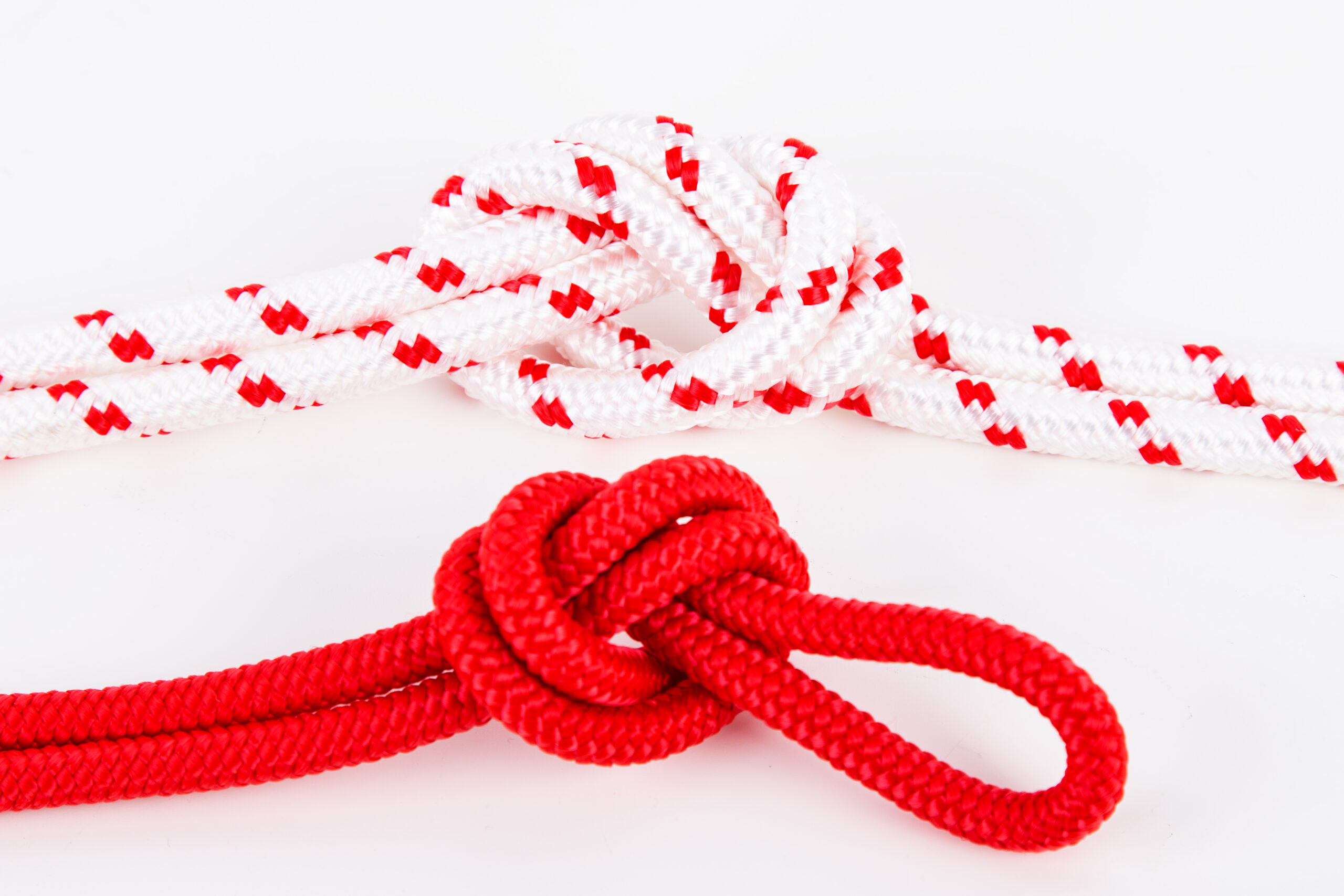elastic cords